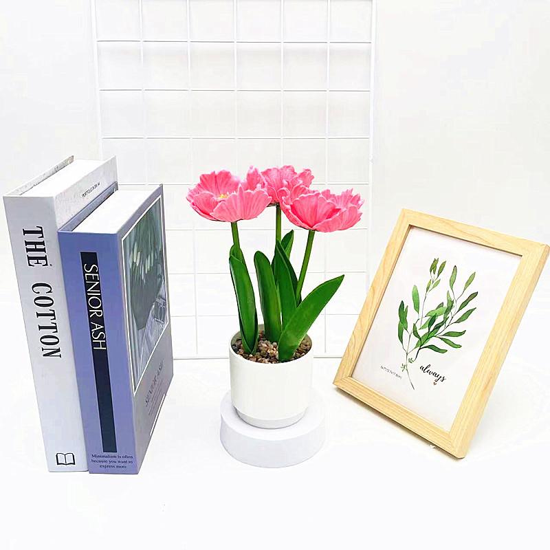Simulation Multicolor Corn Poppy Potted Artificial Flower For Home And Photography Props