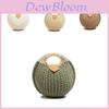 Woven Straw Shell Handbag With Magnetic Closure For Casual Day Use