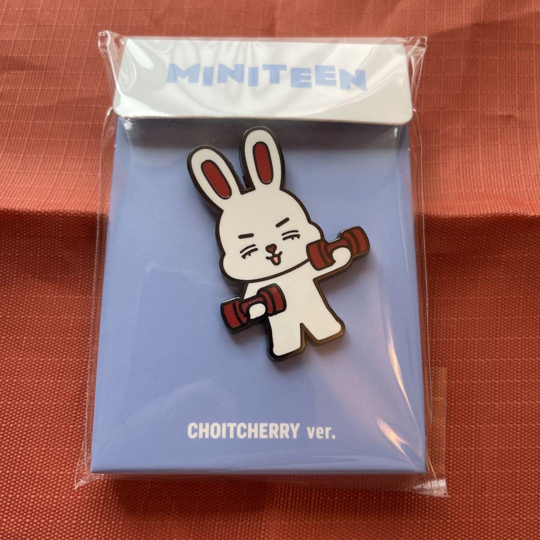 

[Б/У] MINITEEN Всплывающий значок Seventeen S.X.P