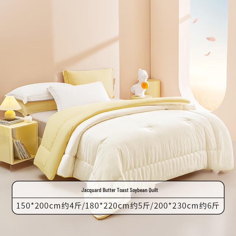 Hodo Soybean Fiber Thickened Winter Quilt