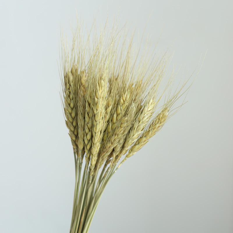 Yunnan Dried & Immortal Flowers Bouquet: Baby's Breath, Roses, Forget-Me-Nots for Home & Homestay Decor