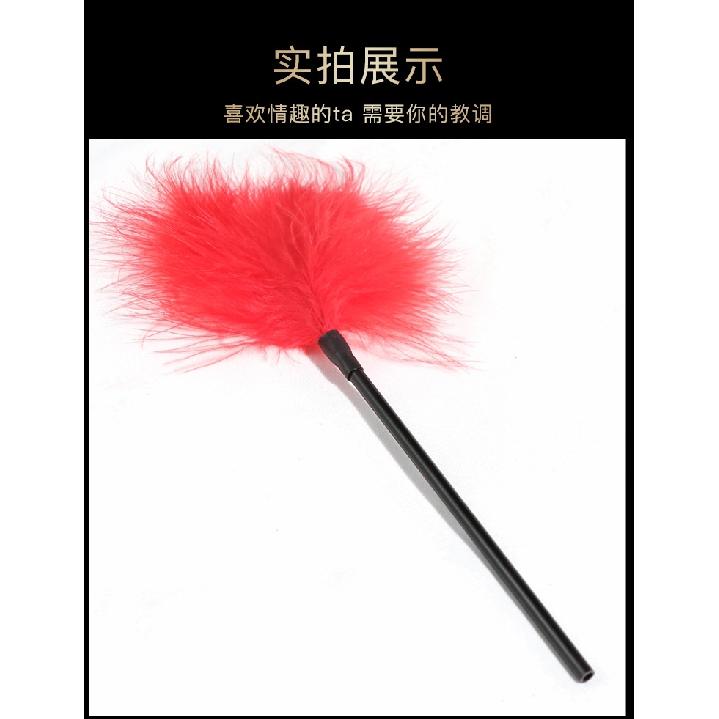 SM Short Rod Feather Stick Couple Foreplay Alternative Toys Adult Sexual