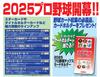Calbee 2025 Professional Baseball Chips 22g X 24 Bags