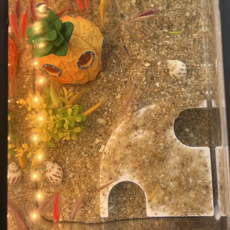 Abs Aquarium Cave Corner Tunnel Widened Non-Slip Bottom Stepped Aquarium Tunnel Aquatic Decorations Accessories