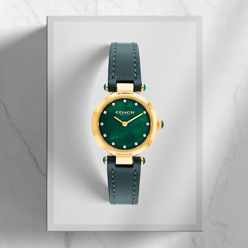 

Жіночий кварцовий годинник Coach серії CARY зі зеленим шкіряним ремінцем