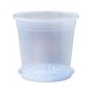 Clear Orchid Flower Pot - High Transparency, Thickened, Breathable for Dendrobium, Succulents, Roses, Phalaenopsis