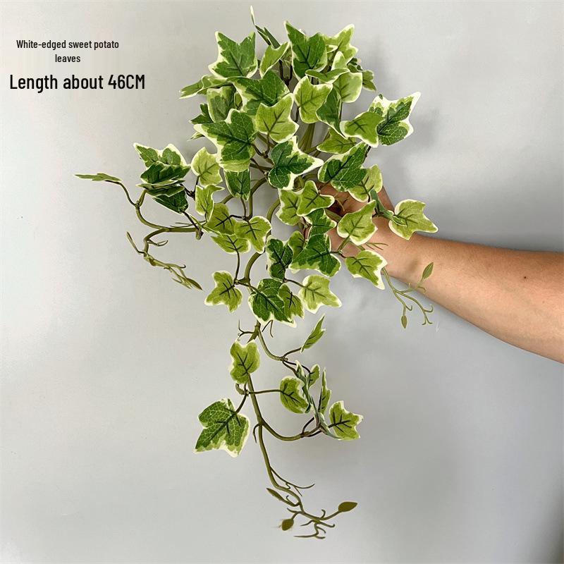 Wandmontierte Monstera-Ranke für die Innendekoration: Hängende Efeutute und laminierte grüne Zweige