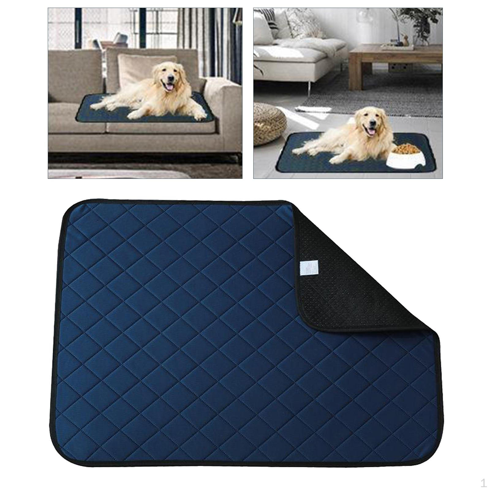 Удобный тренировочный коврик для собак, для ползания 60x45cm Blue A