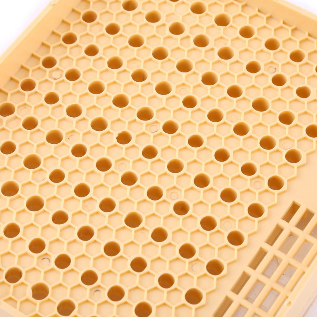 Beekeeping Queen Rearing Cups Box Cell Bar Blocks Caps Hair Roller Cages Bee Keeper Equipment