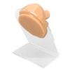 Human Tongue Model Soft Silicone Lifelike Acrylic Stand Mouth Model for Jewelry Display Skin Color