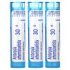 Ambrosia, Ragweed Allergy Relief, Dissolvable Pellets, 3 Tubes, 80 Pellets Each