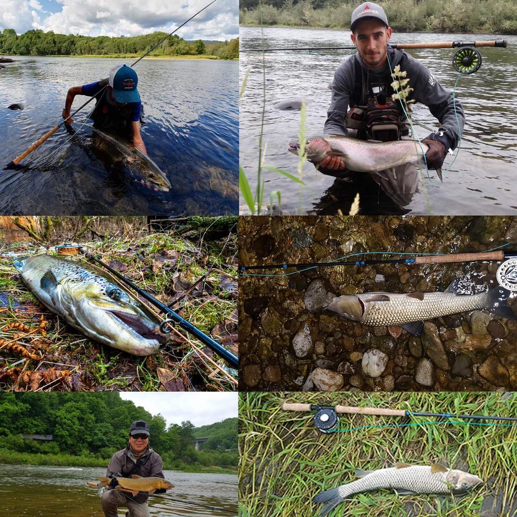 Maxcatch Skagit Shooting Head GR 17 FT with 2 Welded Loops Fly Line 23FT 250g-650 FT-25 (Teal/Orange, 450GR)