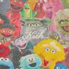 Kith x Sesame Street Family Williams III Hoodie Multicolor Men Tops Multi-Color KHM033067-906