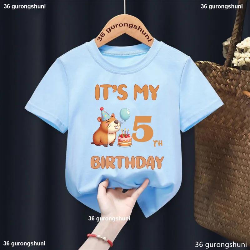 It'S My 4th/5th Birthday Capybara Balloon Printed Tshirt Girls/Boys Celebrate Birthday Gift Kids Clothes Kawaii Solid T-Shirt