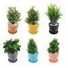 Plastic Mini Artificial Plants With Pot, Table Top & TV Unit Decorative Items