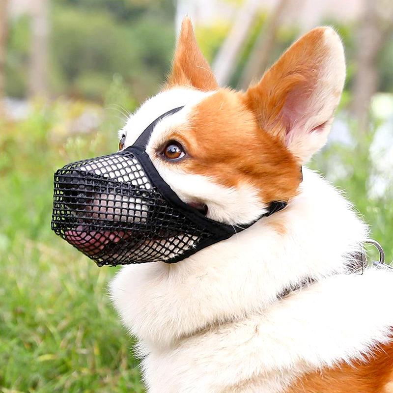 

1Pc Muzzle Breathable Mouth Cover Adjustable Anti Bite Solid Color Nylon Pet Accessories Dog Safety XS сірий колір