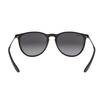 RayBan Sunglasses Erika Classic Goggles Trendy Sunglasses Women's