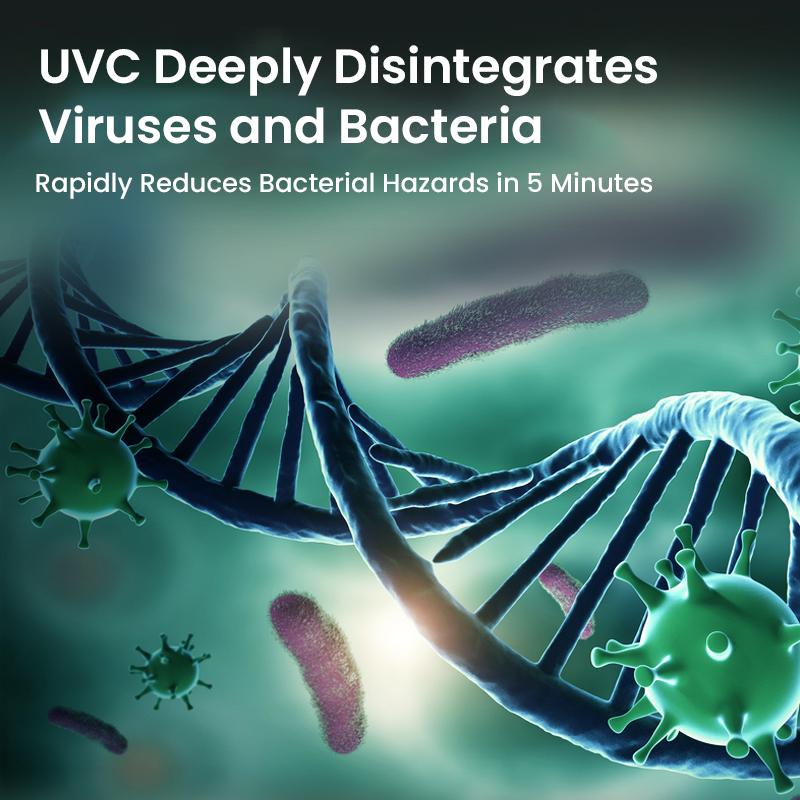 Philips PHPS3602 Auto-Luftreiniger, Auto-Lufterfrischer