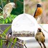 Bird Feeder Large Capacity Convenient Wear-resistant Suction Cup Design Hanging Bird Food Container Bird Supplies