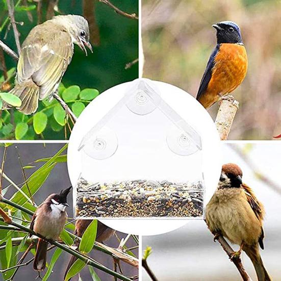 Bird Feeder Large Capacity Convenient Wear-resistant Suction Cup Design Hanging Bird Food Container Bird Supplies