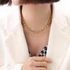 European and American Style Thick Chain Titanium Steel Clavicle Necklace Real Gold Light Luxury Non-Fading Temperament Accessory