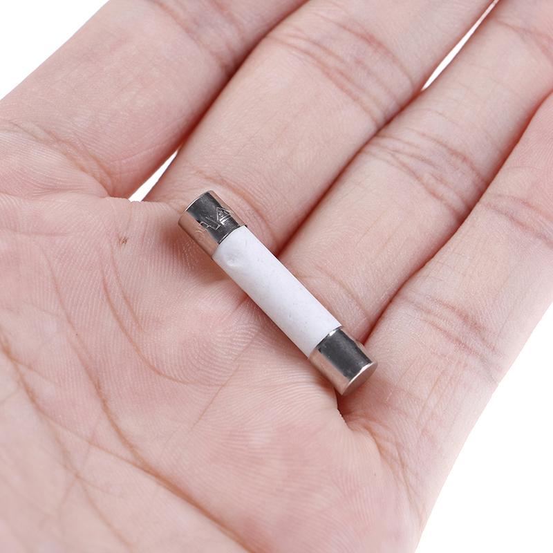 10 Pcs Microwave Ceramic Fuse Electric 20A 250V Home Supplies Diy 6X30Mm