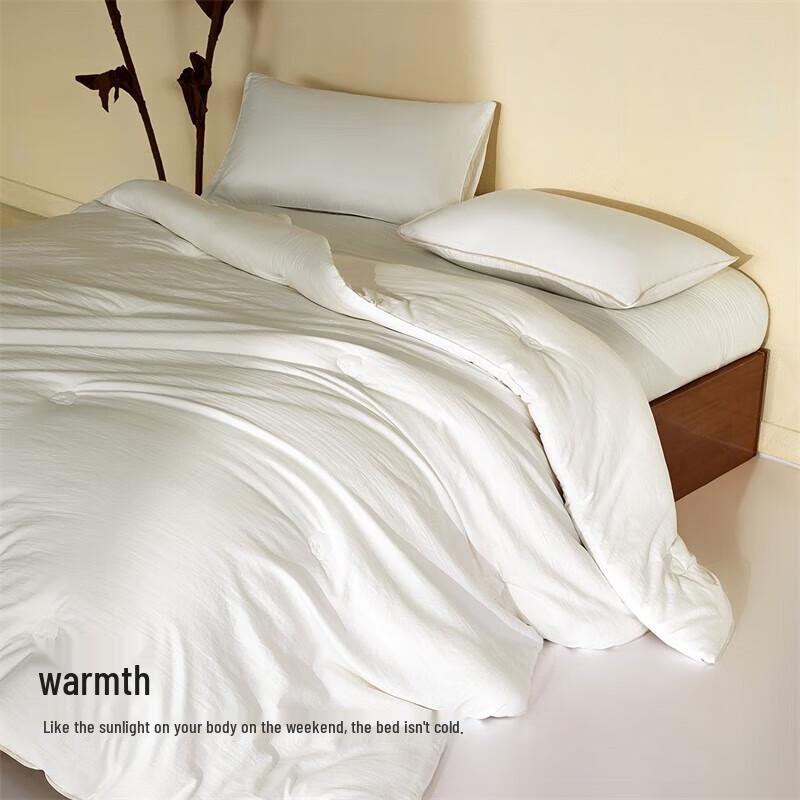 Mercury Home Textiles Single Xinjiang Cotton Winter Quilt