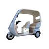 Electric Canopy Tricycle: Family Commuter & Child Transport
