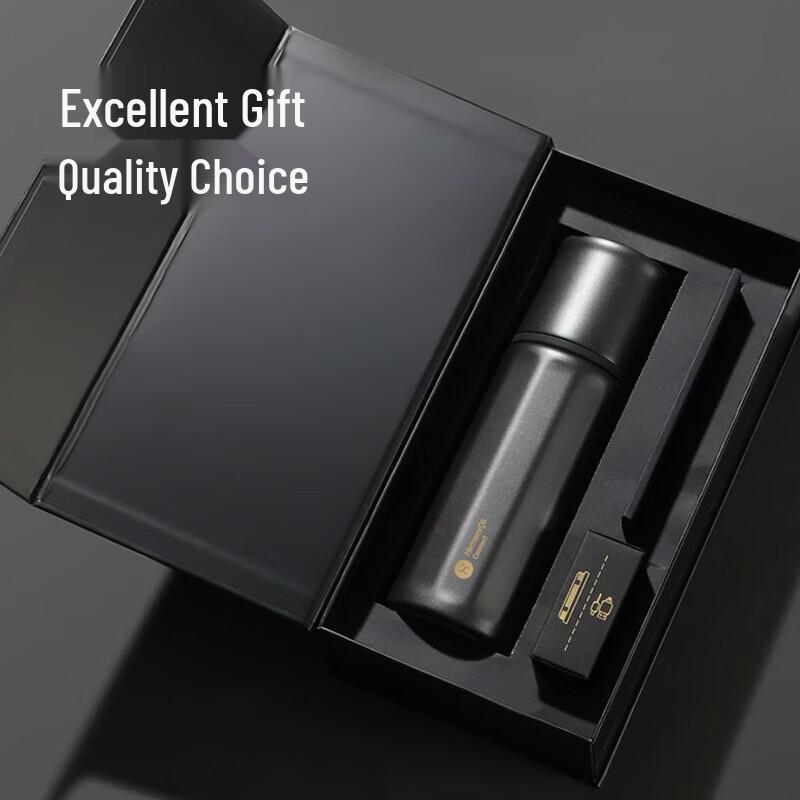 HAERS Smart Titanium Tea Infuser Vacuum Flask, 450ml