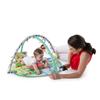 Activity Gym Peek-A-Zoo 11102-2-W11