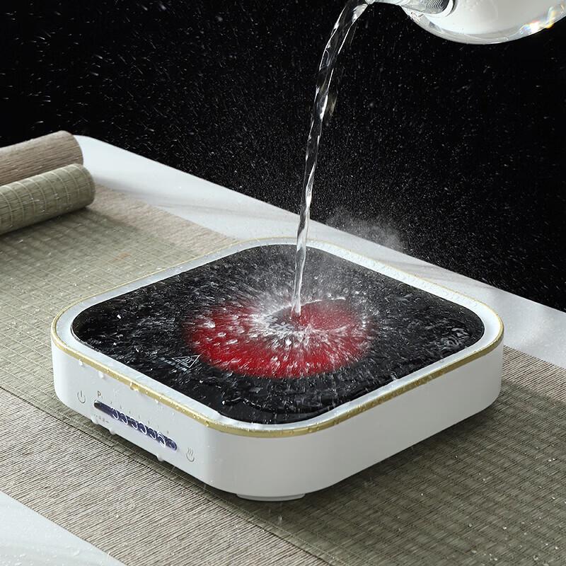 Gomi Electric Tea & Health Pot Set