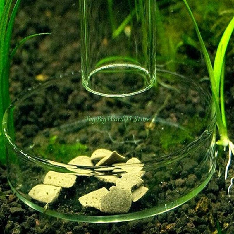 24TE Shrimp Feeder Acrylic Dish Aquarium Fish for Tank Bottom Feeding Tray Reptiles Round Clear Bowl 2.4" Diameter
