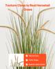 VEVOR Artificial Grass Plant, 2 Pack 1194mm Horsetail Reed Grass in Pot