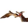 Mattel Jurassic World Amber Collection Pteranodon [Ages 8 and up] GWP86