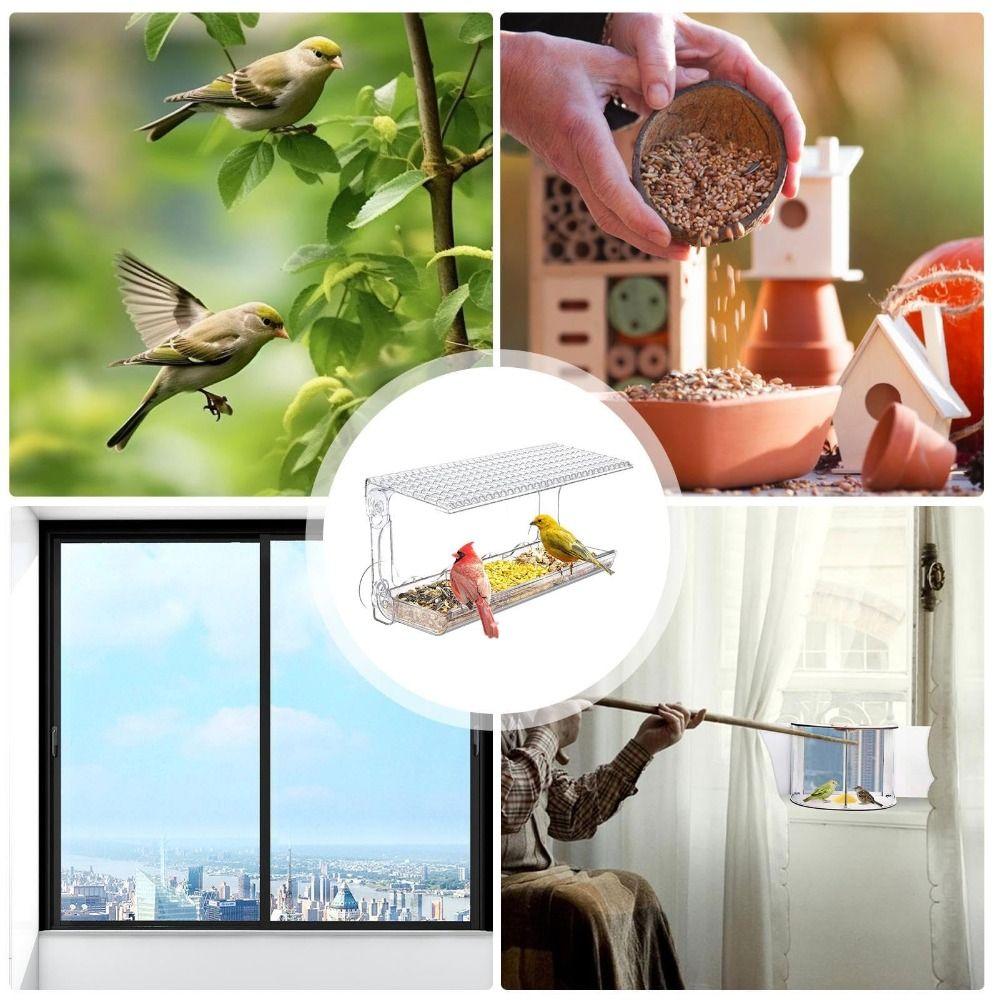 Plastové průhledné krmítka pro ptáky se silnými přísavkami, průhledná ptačí budka pro prohlížení