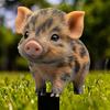 Yousheng Niedliches Schweinchen Gartenstecker, 2D Acryl-Ferkel Hofkunst-Stecker, Wasserdichte Außen-Tierdekoration für Hof Rasen Blumenbeet Pflanzgefäß