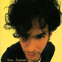 CD SAUL ZONANA - Saul Zonana NONE 20/20 MUSIC 2000 US Rock Used