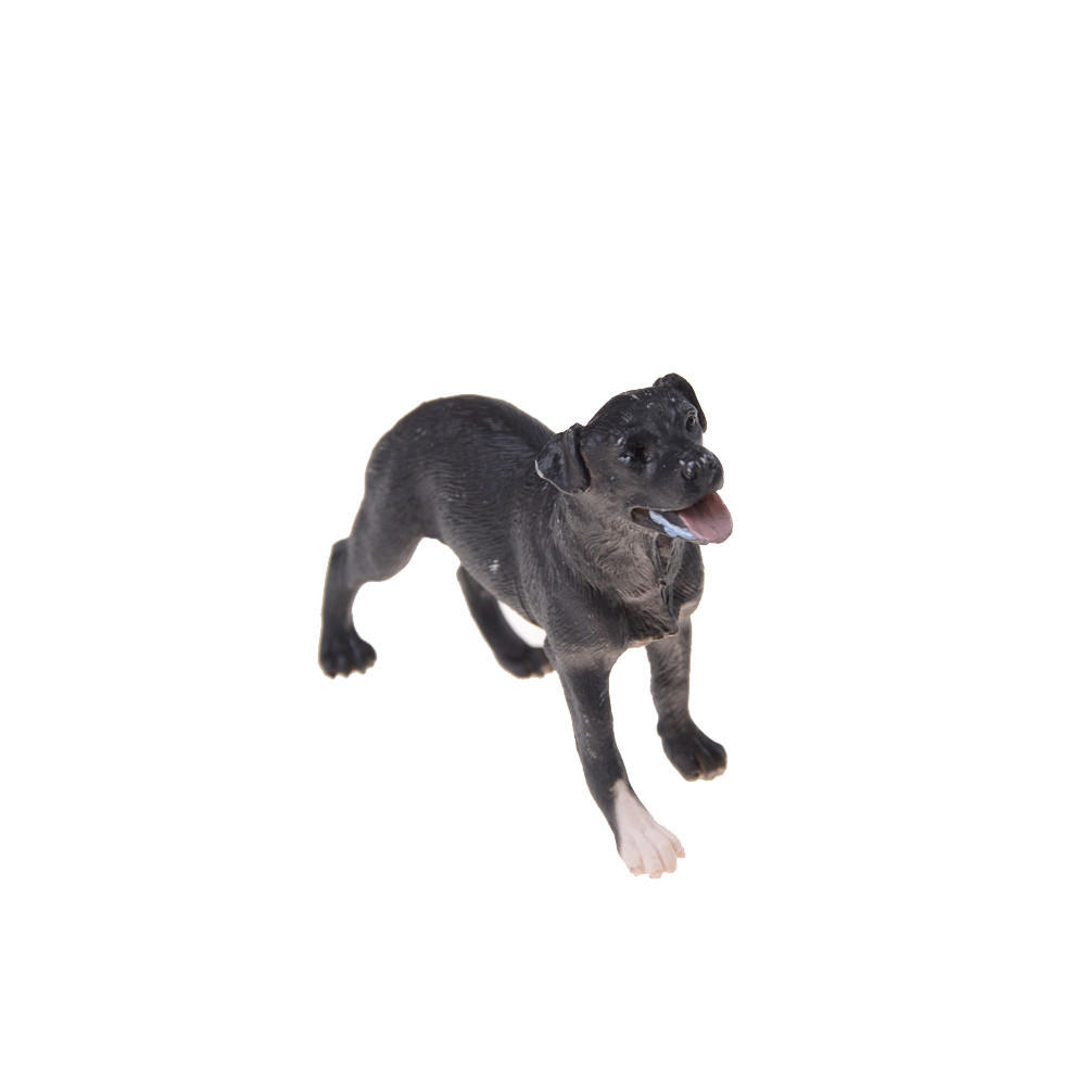 Domuz Kopek Inek Koyun At Esek Cocuklar Oyuncak 6 Adet Ciftlik Hayvan Modeli Kume Uygun Fiyatli Satin Alin Fiyat Ucretsiz Teslimat Fotograflarla Gercek Yorumlar Joom