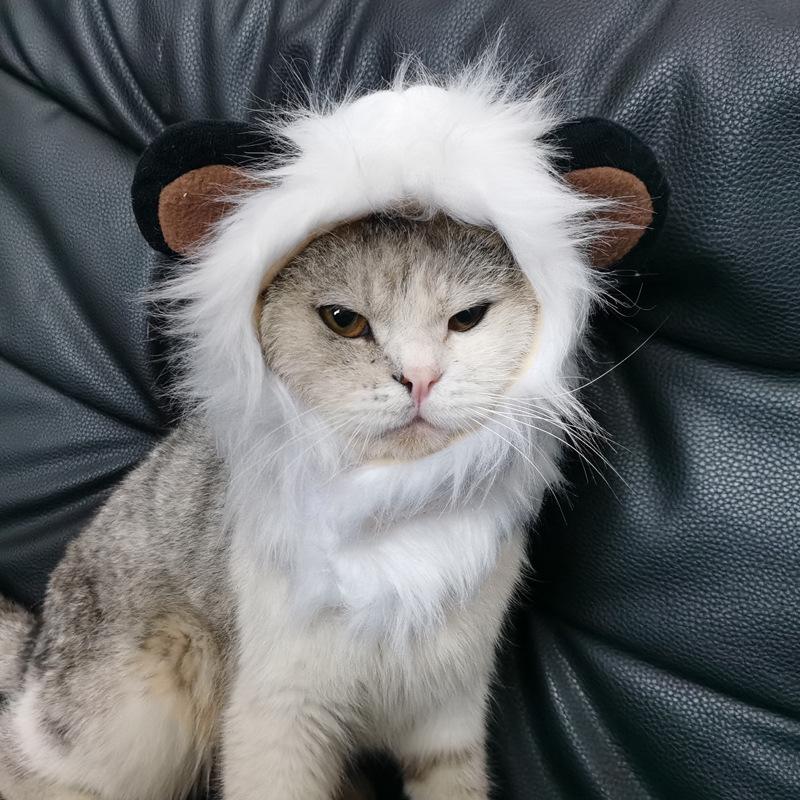 Universal Halloween Lion Costume Hat for Cats & Dogs – Adjustable Velcro, Cute Autumn/Winter Pet Accessory