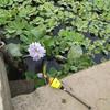 New EVA Automatic Bobber Fishing Float Portable Pesca Long Water Drop Carp Fishing Bobber Fishing Tackle Tools Fish Accessories