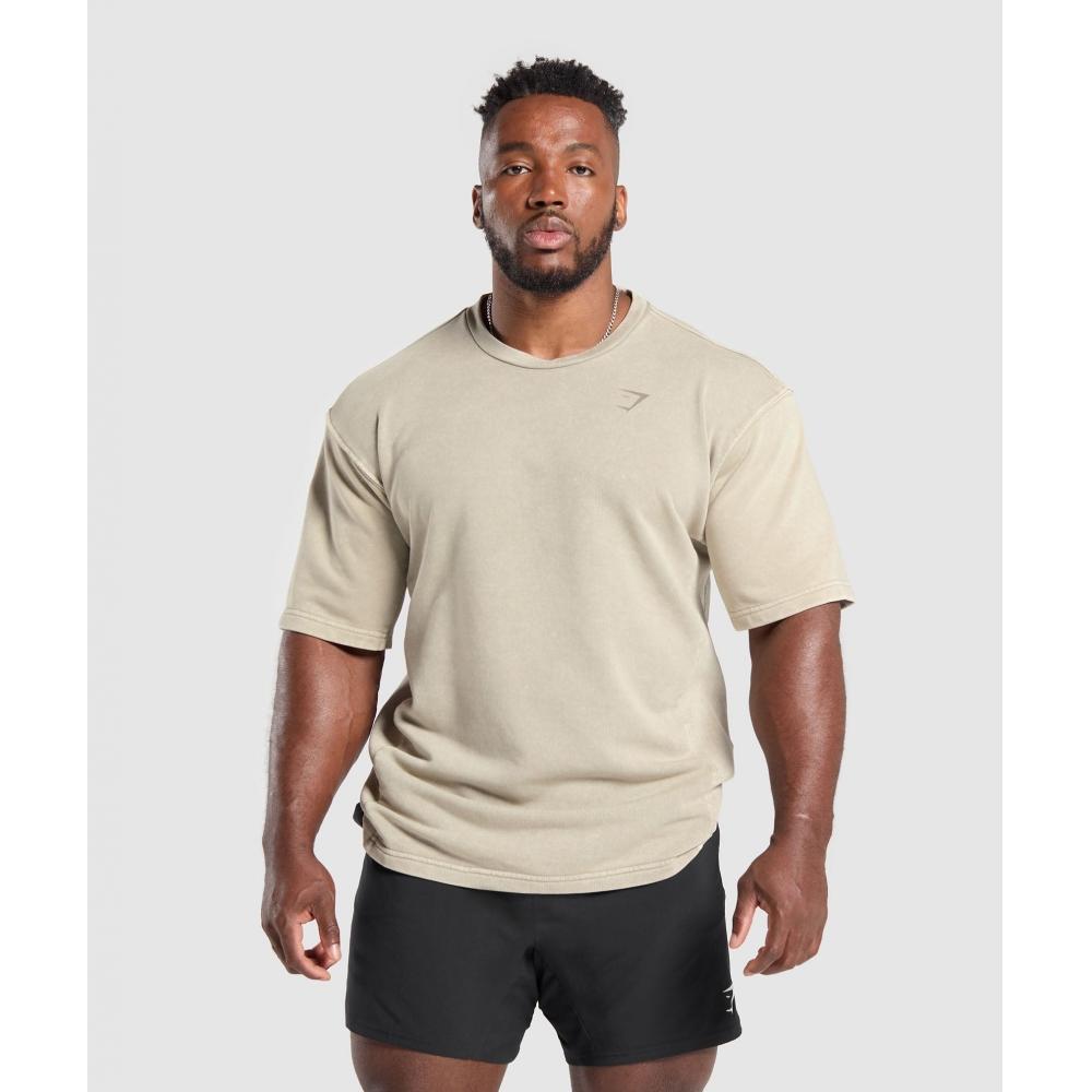 

Gymshark Power Washed с коротким рукавом Crew Ecru Brown A4a3s Nbrp S