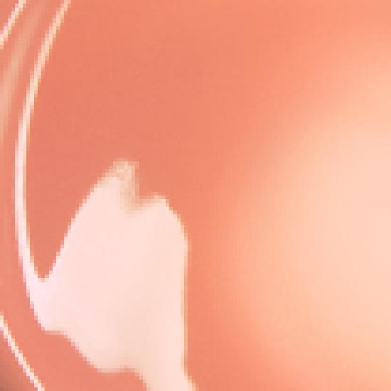 lilybyred Angkeum Liar Coating Tint 4g 14 Colors