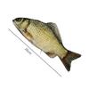 Cartoon Large Capacity Pen Bag Simulated Crucian Carp Multifunctional Pencil Case Stationery Organizer Student