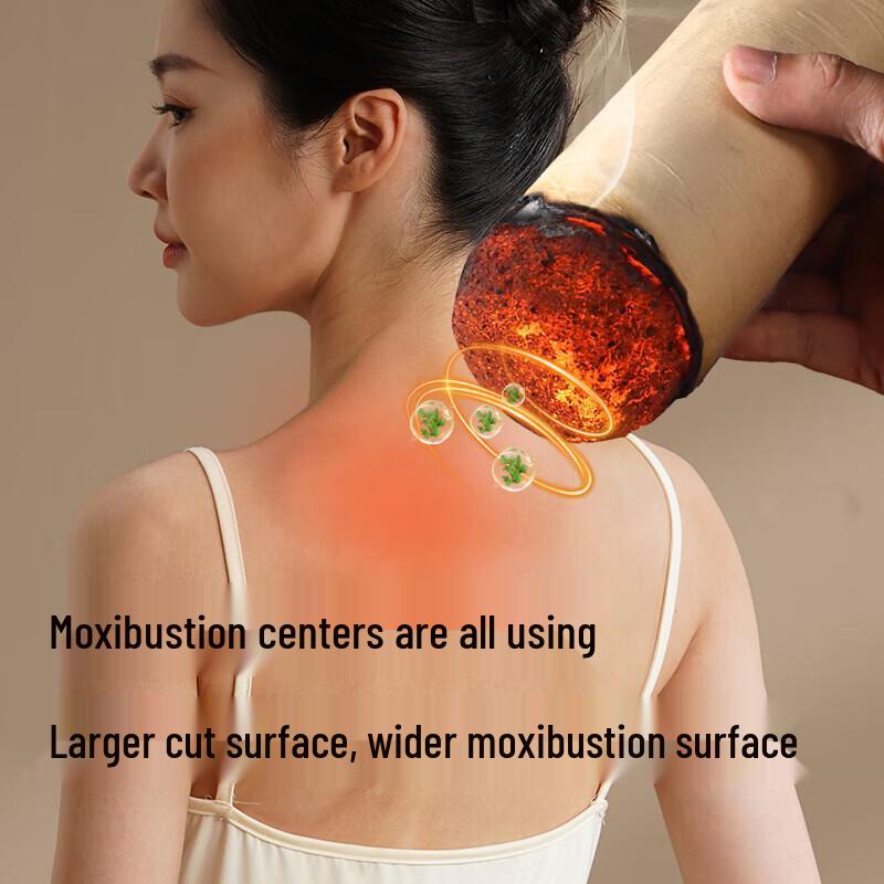 Portable Smokeless Moxibustion Device Gift Set