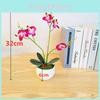 Artificial Orchid Bonsai With Phalaenopsis Aphrodite For Home Decor And Gift Giving