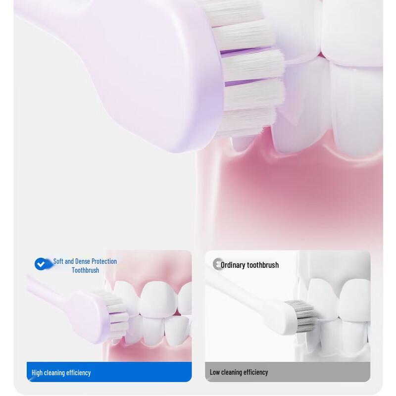 Cenban Breath Freshening Toothpaste & Toothbrush Bulk Set