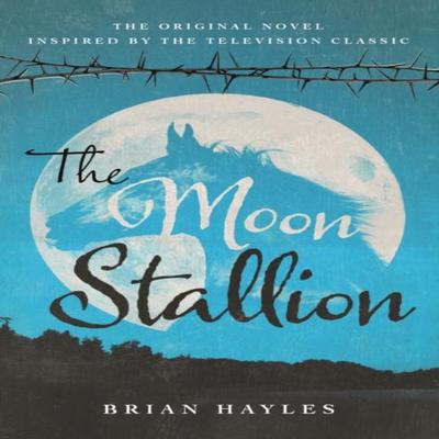 The Moon Stallion by Brian Hayles Paperback Book 9781781963807