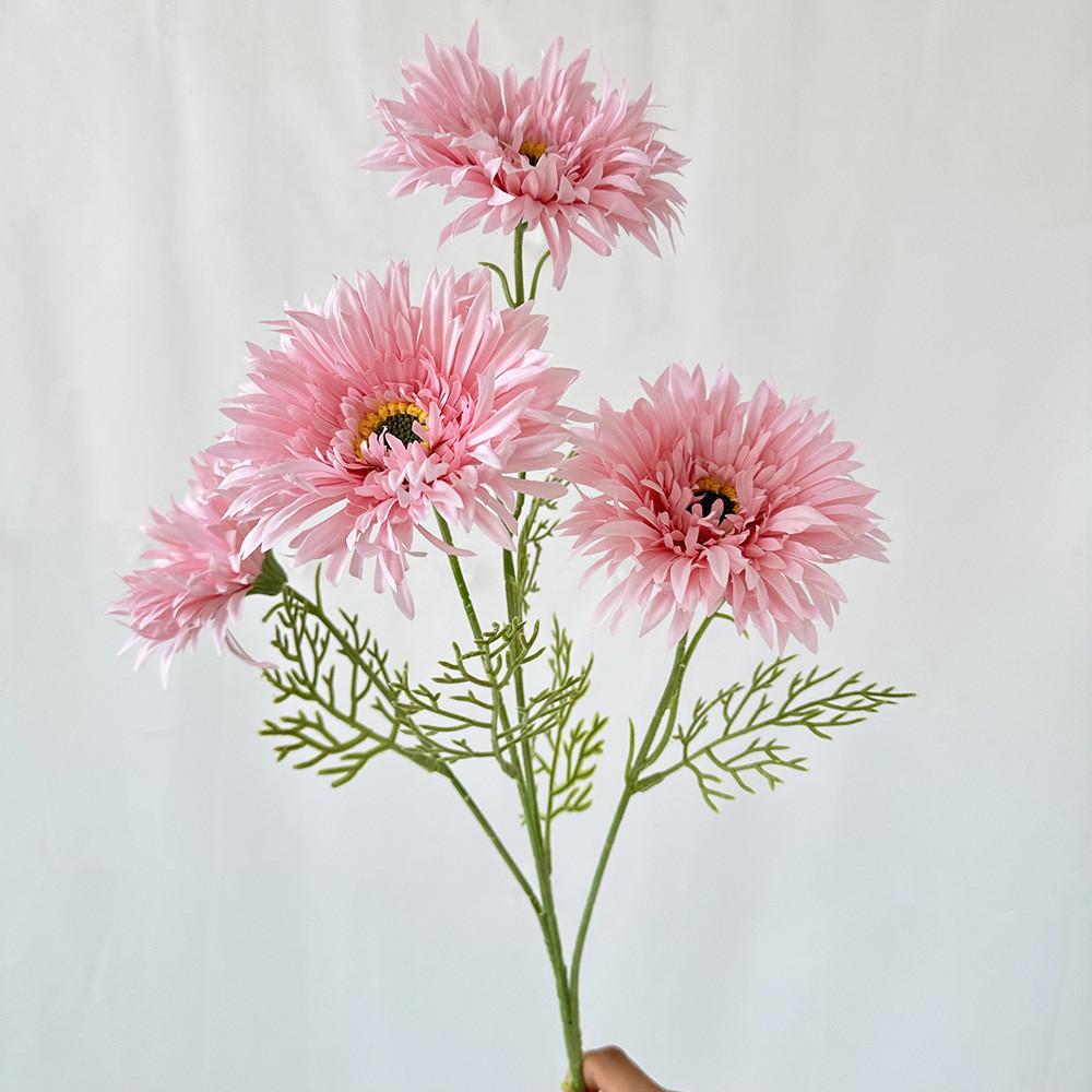 African Gerbera Jamesonii Bolus Wedding Decor For Home And Event Use