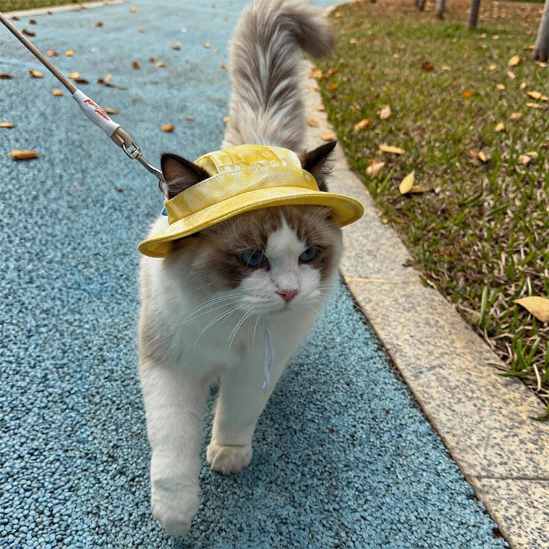Cappello da Sole Estivo per Gatti con Fori per le Orecchie - Carino Cappellino da Pescatore per Gattini Per Protezione UV Traspirante Cappellino da Sole da Esterno per Gatti