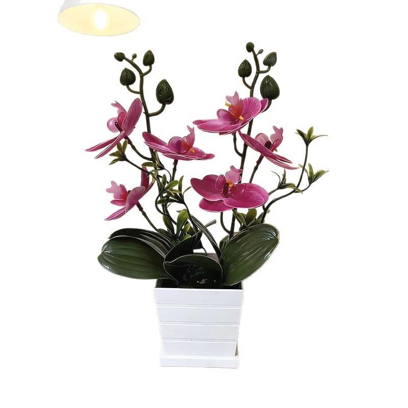 Butterfly Orchid Artificial Plant With Plastic Pot For Home Decor And Events